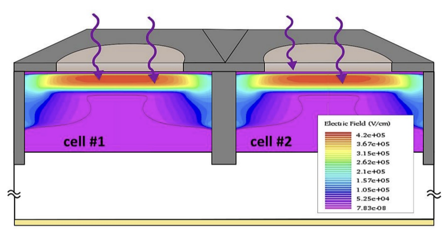 sipm mechanism